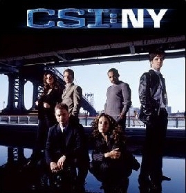 CSI: Kryminalne zagadki Nowego Jorku - sezon 1 - 7xDVD