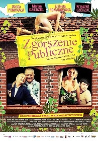 Zgorszenie publiczne - DVD